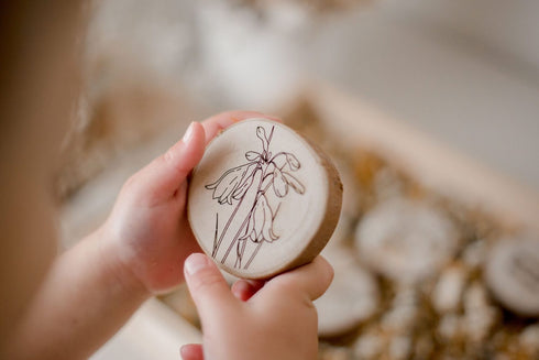 QTOYS - Australian Flora Discs - Set of 10